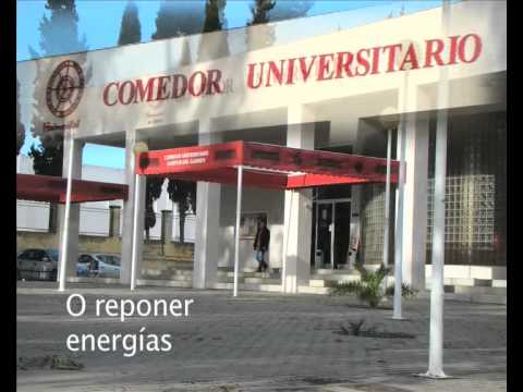 facultad ciencias de la educacion huelva